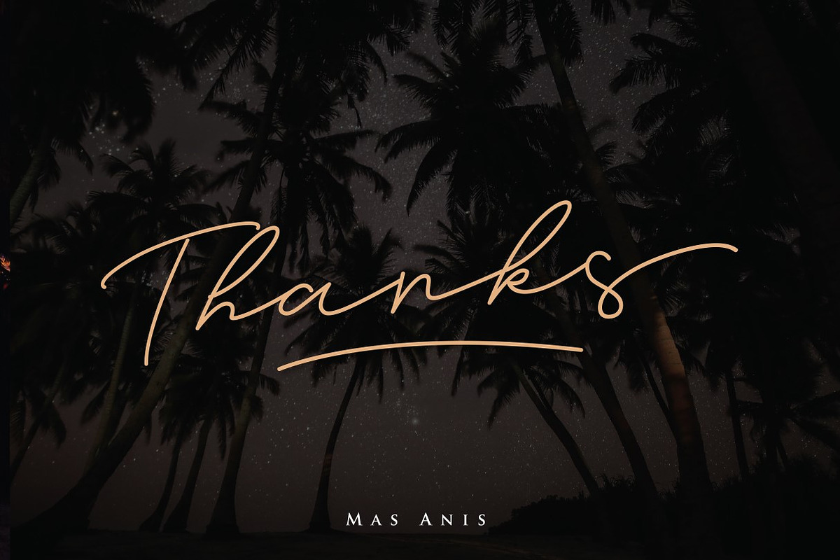 Brian Strait - Signature Font, a Script Font by Masanis (Photo 11 of 11)