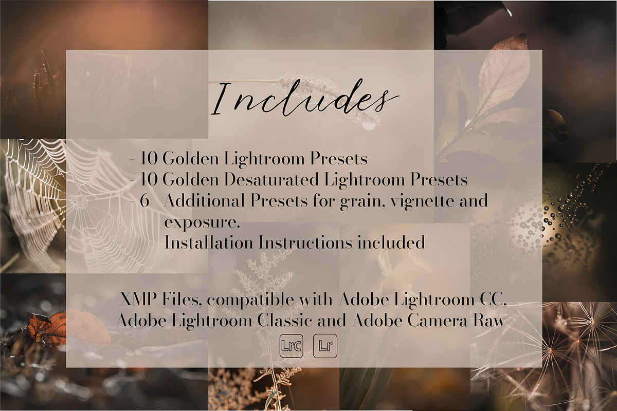 Golden Lightroom Presets, an Action Add-On by CL Creative Studio (Photo 9 of 9)