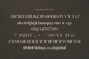 Cathez - Elegant Serif Font, a Serif Font by Aqeel_Art (Thumbnail 10 of 10)