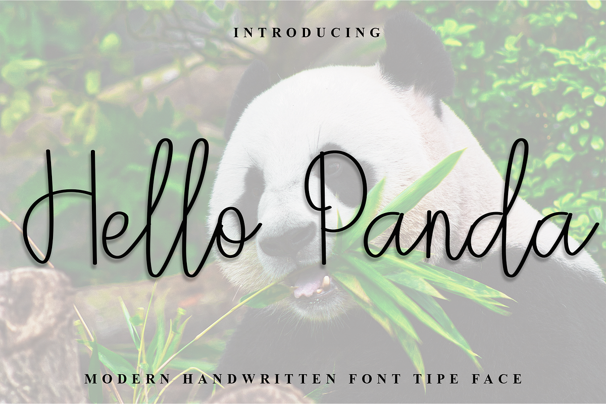 Hello Panda, a Handwritten Font by FreshTypeINK (Photo 1 of 8)