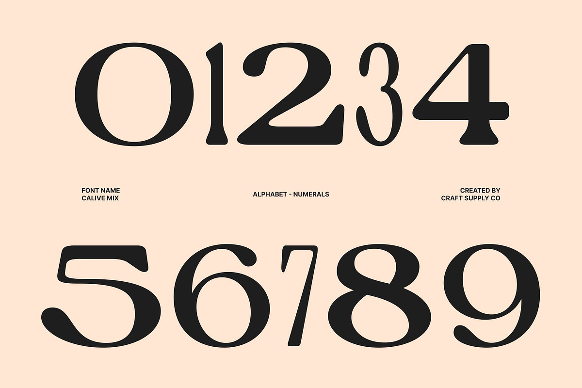 Calive Mix, a Sans Serif Font by Craft Supply Co. (Photo 5 of 8)