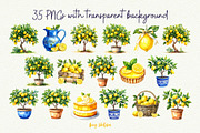 Mediterranean Lemon Clipart, an Object Graphic by Anna Design Studio (Thumbnail 2 of 9)