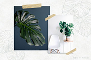 Monstera Leaf Vectors and Patterns, an Object Graphic by Fire Spark Studio (Thumbnail 2 of 6)