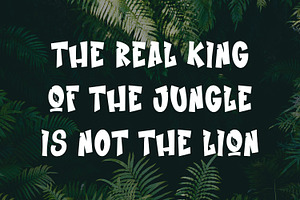 Jungle Fresh Funny Cartoon Fonts