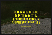Pitolia | Decorative Display Serif, a Serif Font by gracetype_studio (Thumbnail 12 of 12)