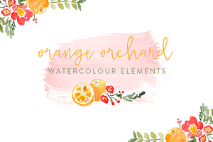 Orange Orchard Watercolor Elements
