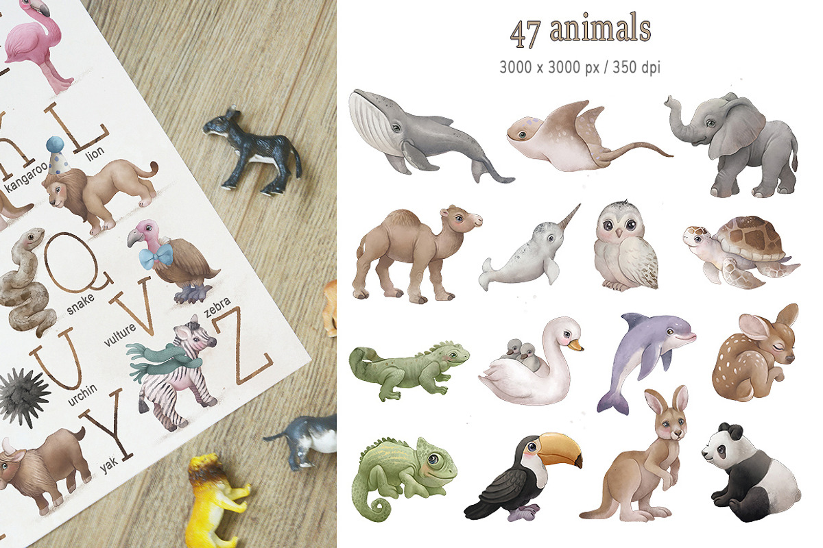 Animal ABC World map watercolor set, an Animal Illustration by TanyaSchuka (Photo 7 of 22)