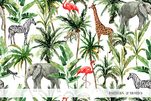 ANIMAL KINGDOM & Animals Patterns