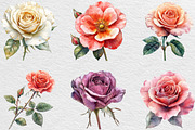 Rose Flower Clipart Bundle, an Illustration by Black Bird Studio (Thumbnail 6 of 6)