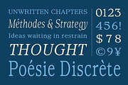 Imagin, a Serif Font by Dora Typefoundry (Thumbnail 4 of 10)