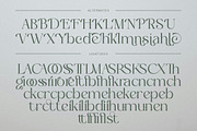 Bagien Modern Stylish Serif Font, a Serif Font by Eternity Studio (Thumbnail 8 of 10)