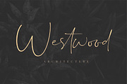 Dalmatins // Elegant Signature Font, a Script Font by Sronstudio (Thumbnail 4 of 14)
