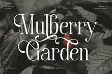 Mulberry Garden - Classic Serif Font
