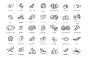 Nuts and Beans Icons, a Food Illustration by Tettygreen (Thumbnail 1 of 3)