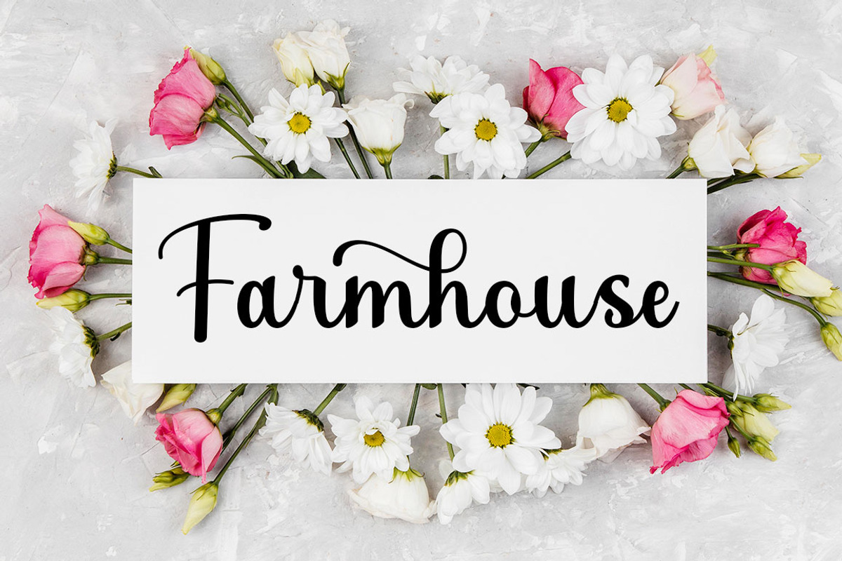 Hayda Script, a Script Font by Rotterlab Studio (Photo 2 of 7)