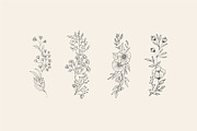 Hand drawn foliage collection, a Decorative Illustration by Merfin (Thumbnail 4 of 5)