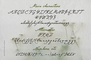 Verona Serenade Script Font vintage, a Script Font by TD fonts (Thumbnail 10 of 12)