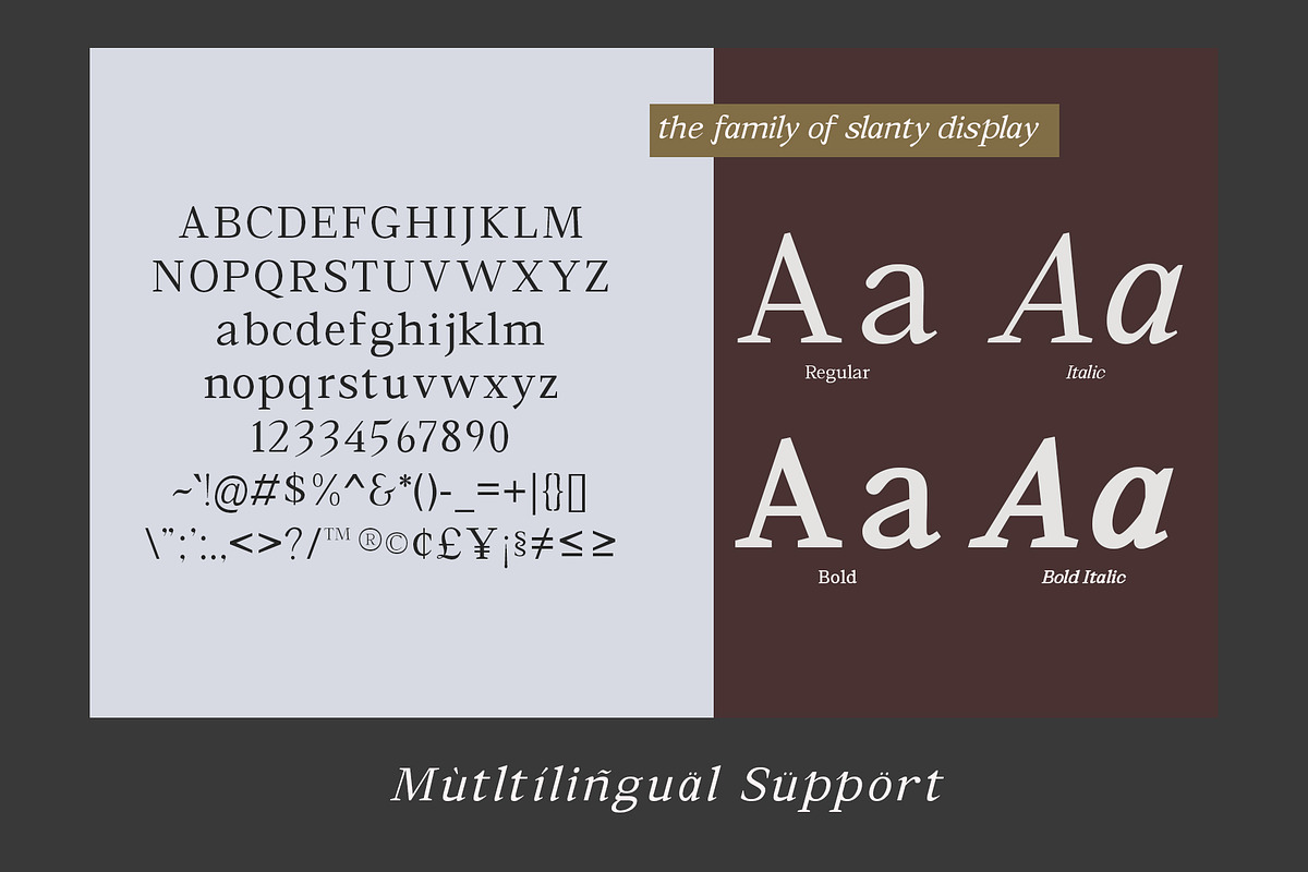 Slanty Display - Serif Typeface, a Serif Font by Mytype Studio (Photo 5 of 7)
