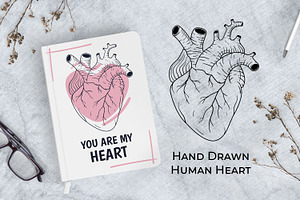 Human heart, natural heart print
