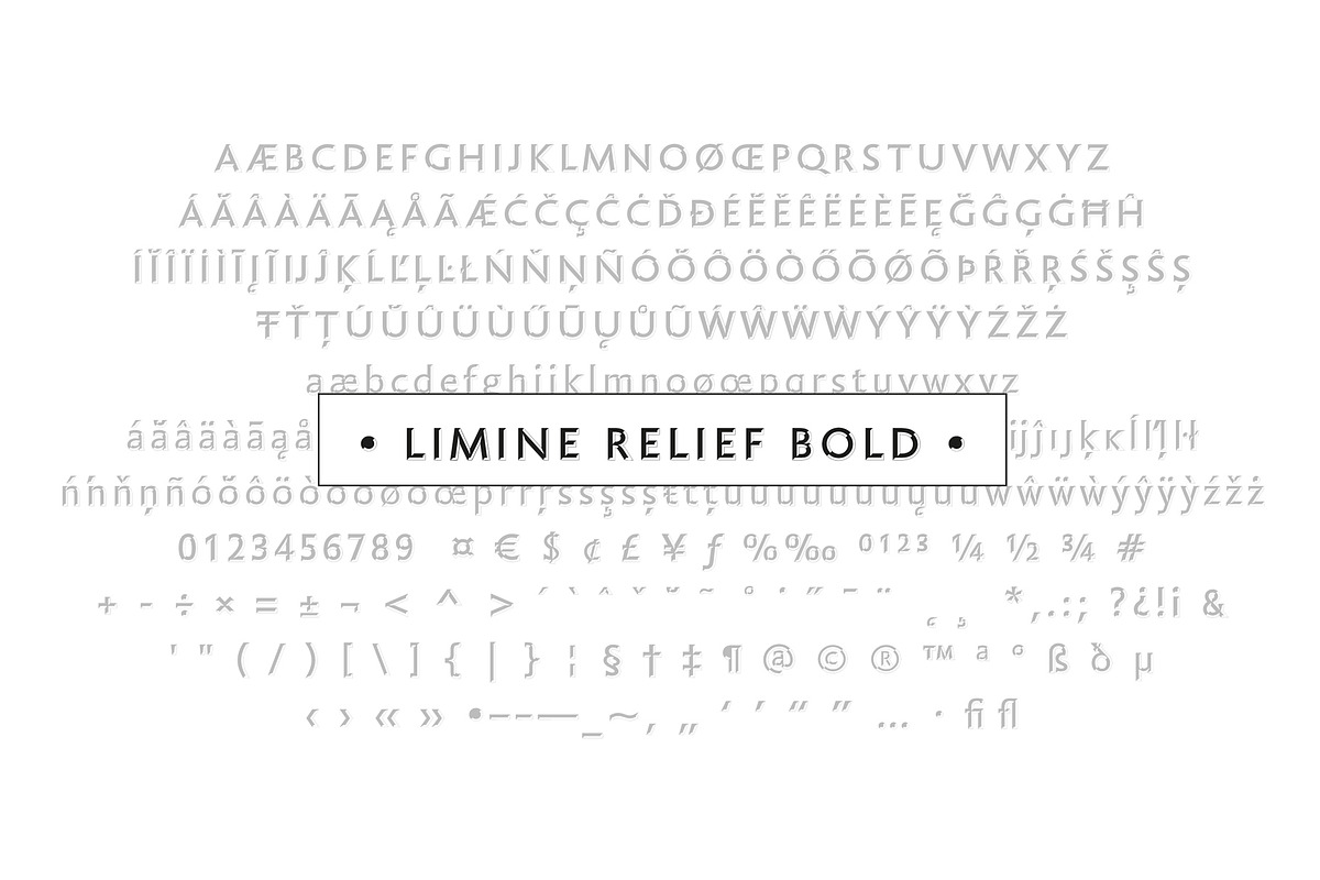Limine, a Font by TeGeType foundry (Photo 5 of 5)