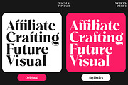 Plakent, a Serif Font by studiobasic (Thumbnail 11 of 15)