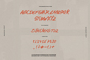 Wild Era Handwritten Marker Font, a Handwritten Font by Laras Wonderland (Thumbnail 13 of 15)