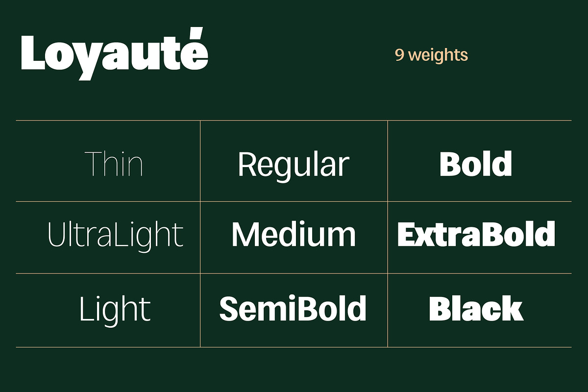 Loyauté, a Sans Serif Font by OceaneM (Photo 3 of 7)