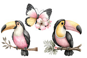Watercolor Tropical Animals Clipart, an Illustration by Designworld (Thumbnail 4 of 5)