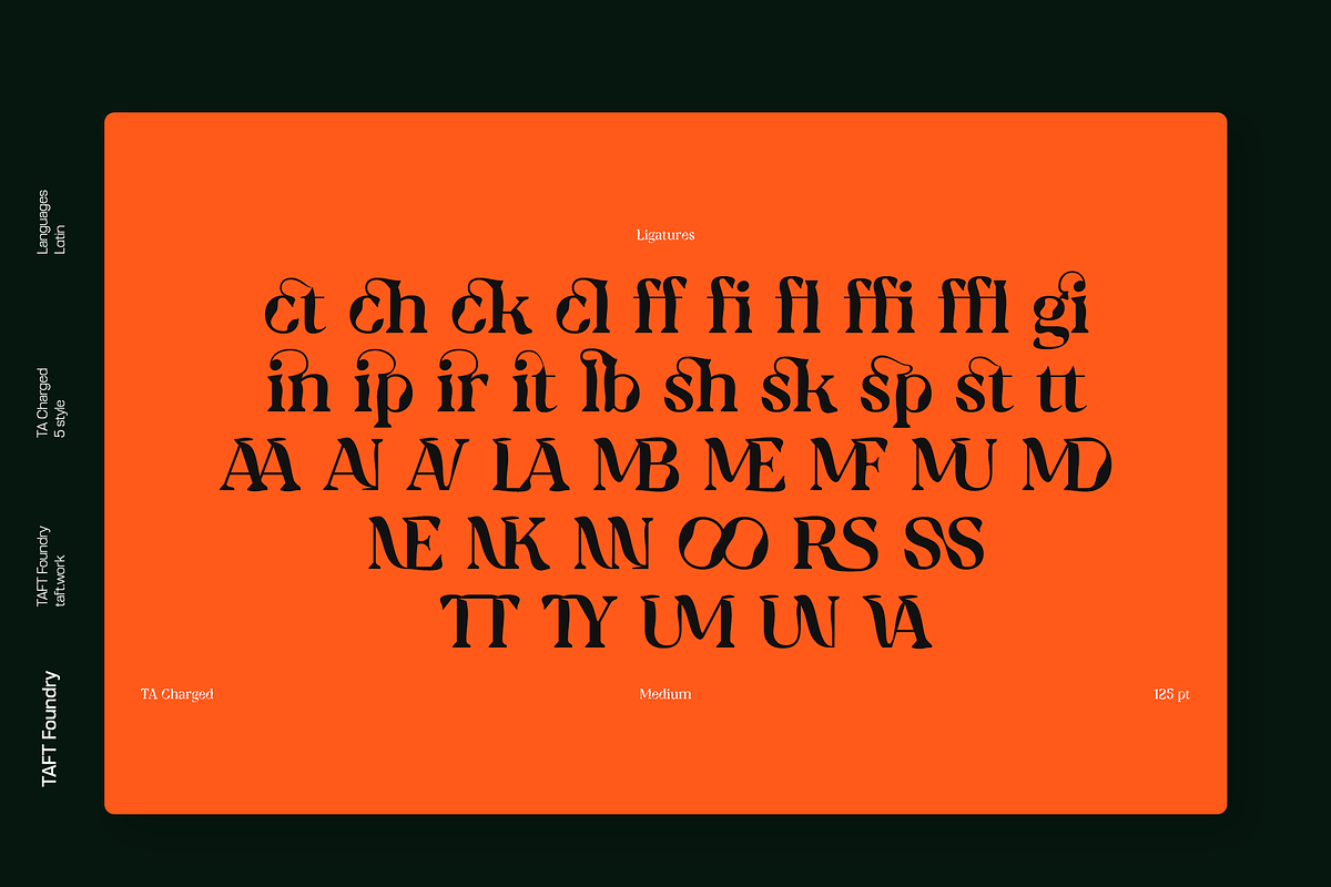 TA Charged, a Serif Font by TAFT Foundry (Photo 7 of 19)