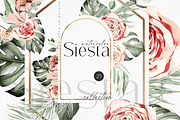 Siesta Tropcal set, an Object Illustration by Olga Koelsch (Thumbnail 1 of 9)