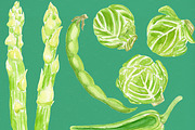 Green Watercolor Vegetables Set, a Food Illustration by Olexandra Mur (Thumbnail 4 of 9)