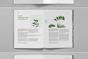 Botanical Green Nature Brochure