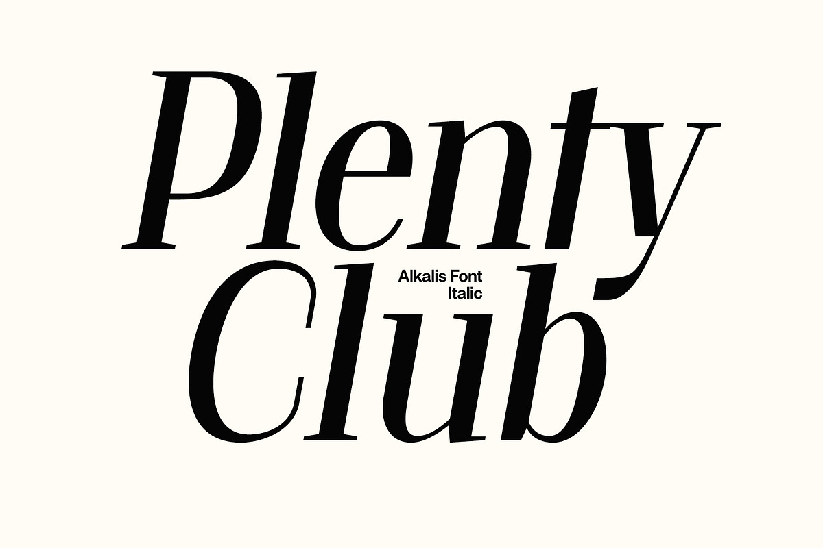 Alkalis – Modern Elegant Serif, a Serif Font by Craft Supply Co. (Photo 3 of 8)