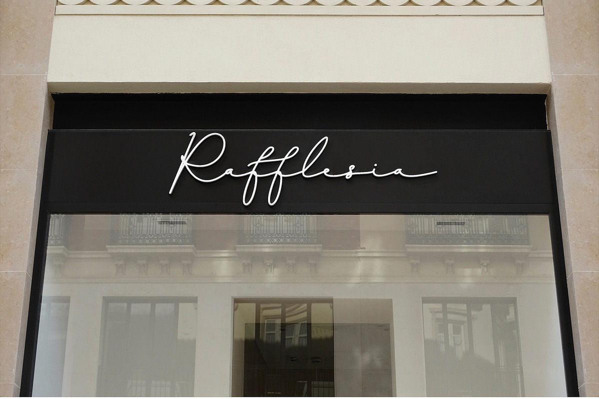 Aurelista - Monoline Signature, a Script Font by erlosDESIGN (Photo 7 of 13)