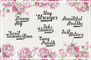Ardina Script, a Script Font by Font Bundles (Thumbnail 3 of 5)