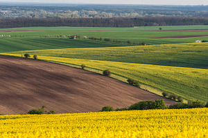 Landscape with green field featuring agricultural, agriculture, and background