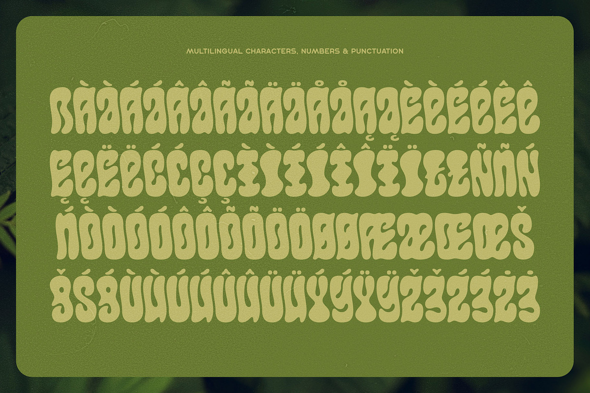 Callidryas Groovy Font, a Sans Serif Font by Gleb Guralnyk (Photo 7 of 8)