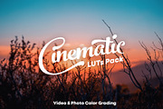 Cinematic LUTs Pack, a Plug-in Add-On by Maple Visuals (Thumbnail 1 of 10)