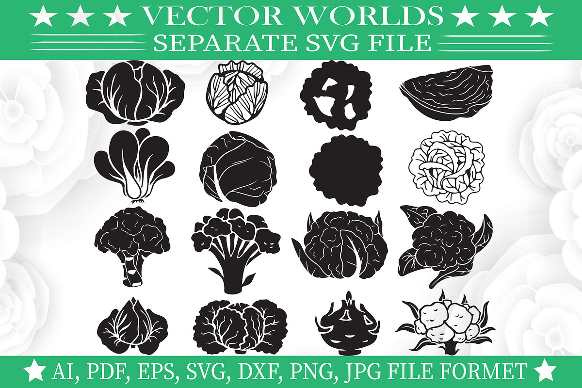 Cabbage Svg, Cabbages Svg, an Object Graphic by VectorWorlds