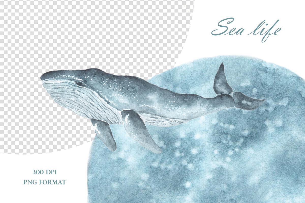 Sea life watercolor set. Nautical., an Illustration by SabinaWatercolorArt (Photo 3 of 13)