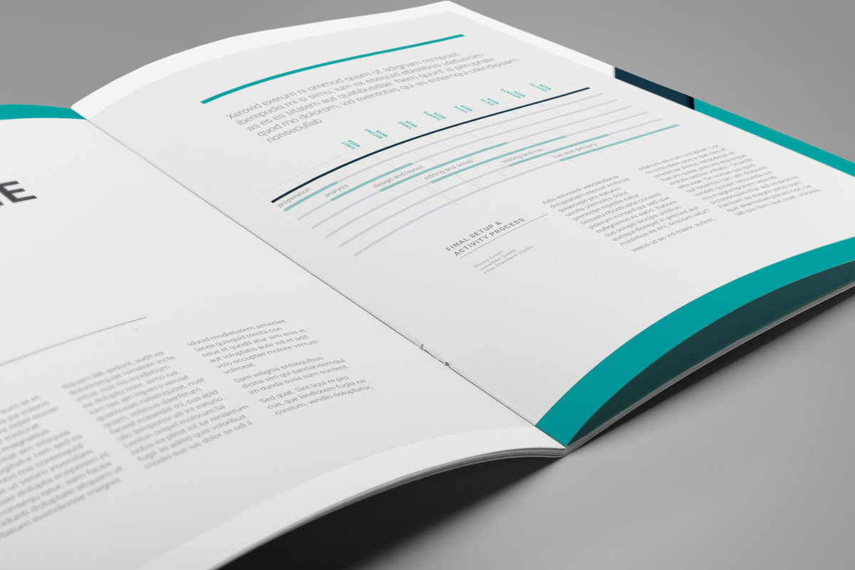 Proposal Pitch Pack, a Brochure Template by Elite_Standard (Photo 12 of 18)