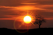 33 Multi Color Light Lens Flare, an Action Add-On by MRI STUDIO (Thumbnail 8 of 9)