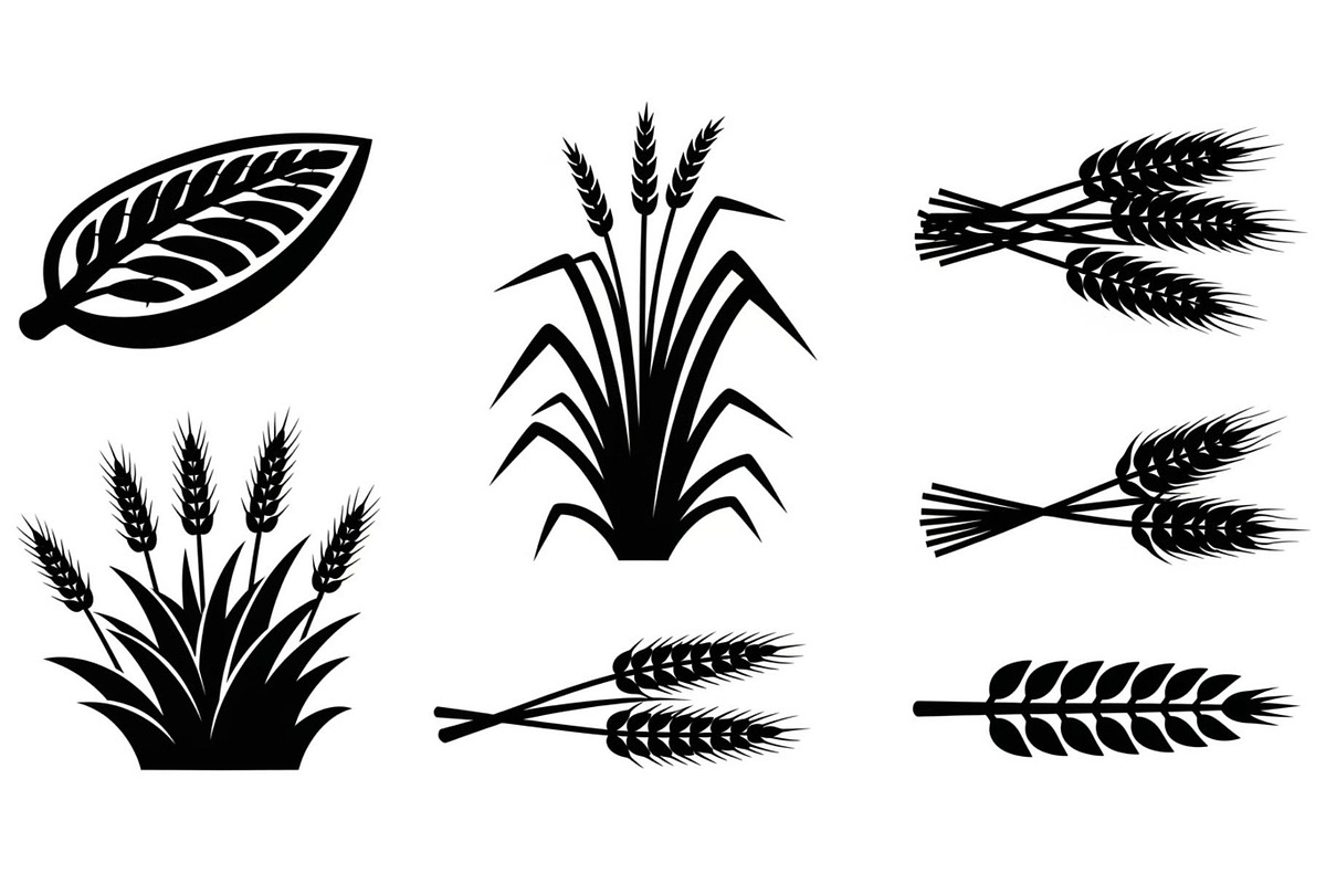Rural Countryside Landscape, a Graphic by hafijul (Photo 5 of 13)