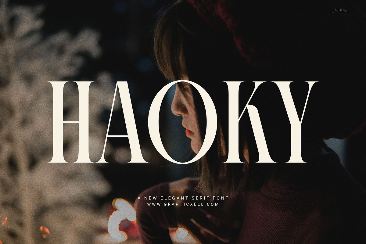 Haoky Elegant Serif Font, a Serif Font by Graphicxell (Photo 1 of 8)