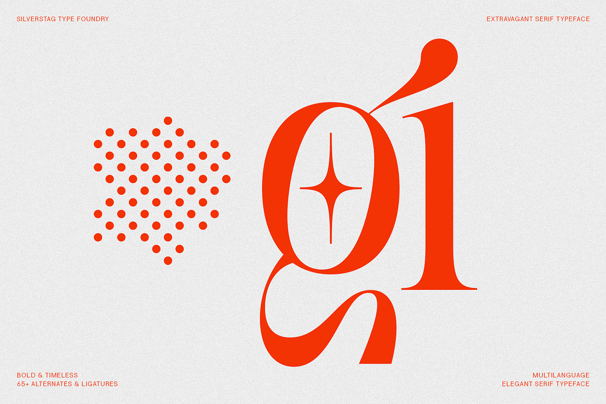 SLTF BOXROOM - Modern Serif Typeface, a Serif Font by SilverStag Type Foundry (Photo 24 of 30)