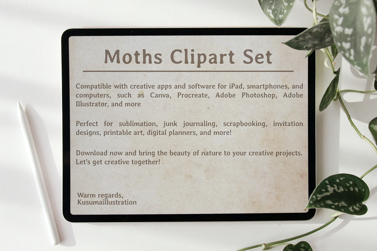 Moth Illustration Vector Set, an Illustration by Kusumaillustration (Photo 11 of 11)