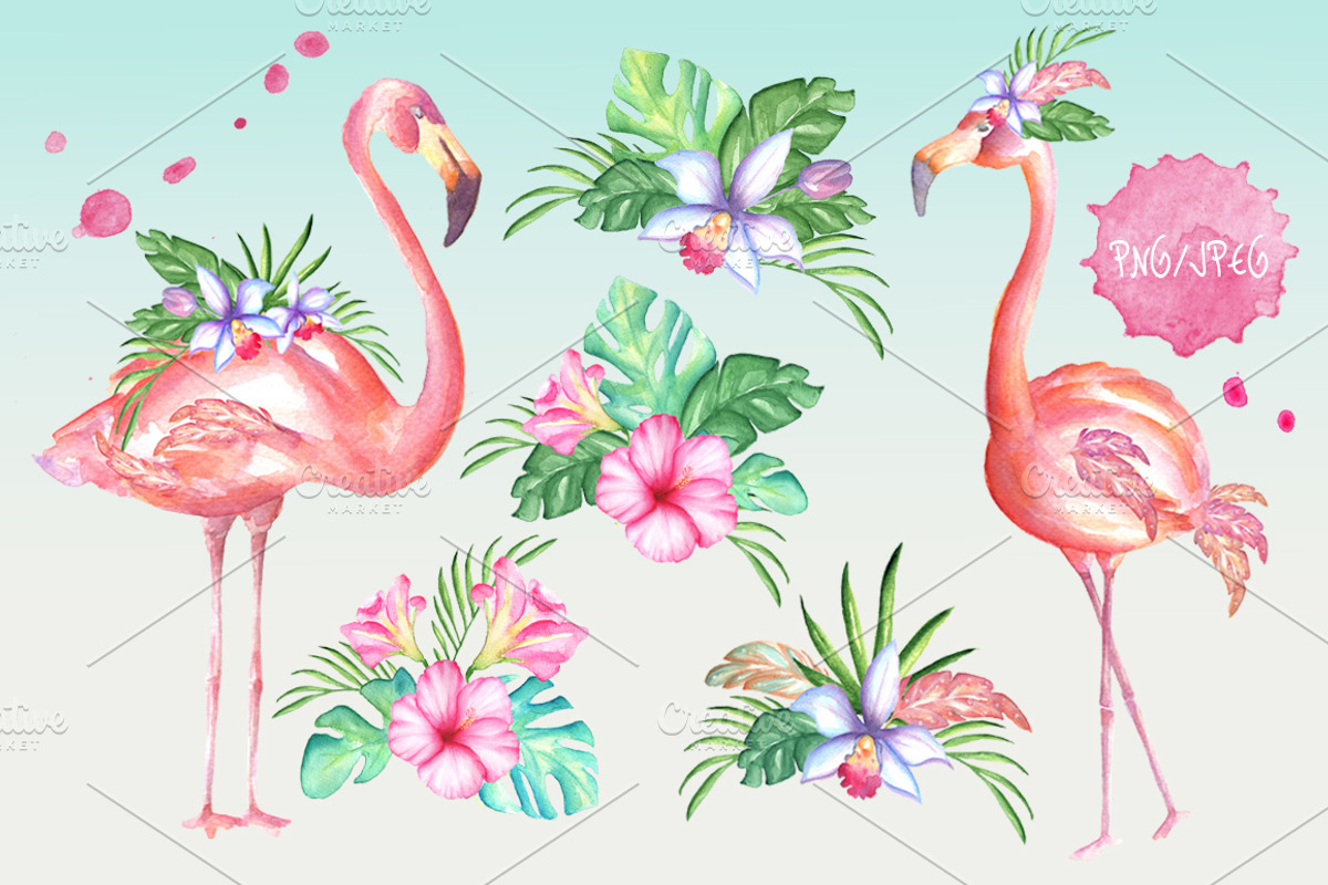 Pink flamingo set, an Illustration by artdreamer (Photo 3 of 6)