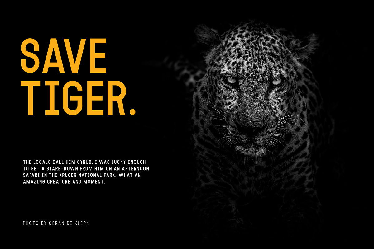 MODULAR - 16 FONTS, a Sans Serif Font by Fortunes Co (Photo 16 of 17)