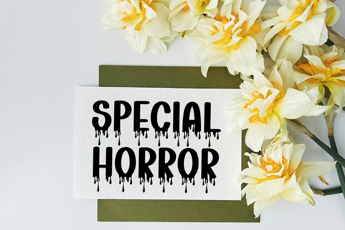Night Scarry, a Serif Font by FreshTypeINK (Photo 6 of 8)