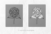 Hydrangea Flowers Line Art SVG, a Decorative Illustration by Dervik Art Store (Thumbnail 5 of 6)